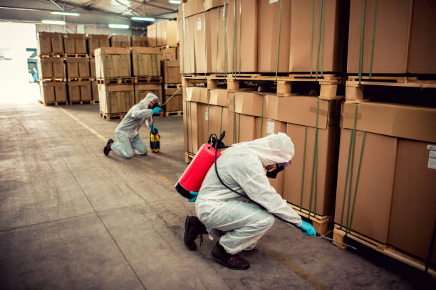 Best Wasp Removal Services  in Pueblo, CO