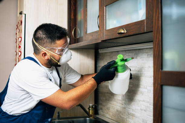 Best Mosquito Control Services  in Pueblo, CO