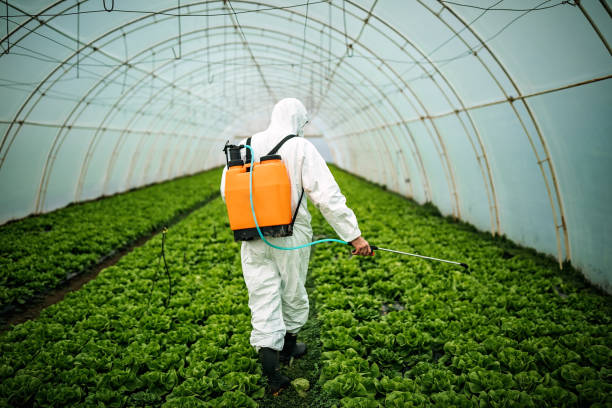 Best Pest Removal Services  in Pueblo, CO
