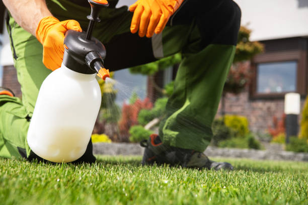 Pest Prevention Services in Pueblo, CO