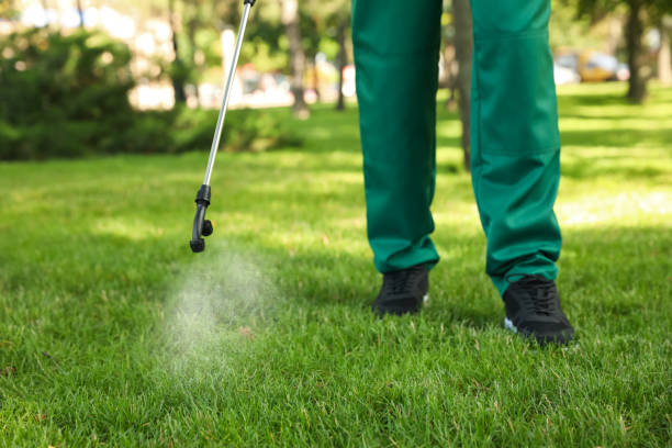 Professional Pest Control in Pueblo, CO