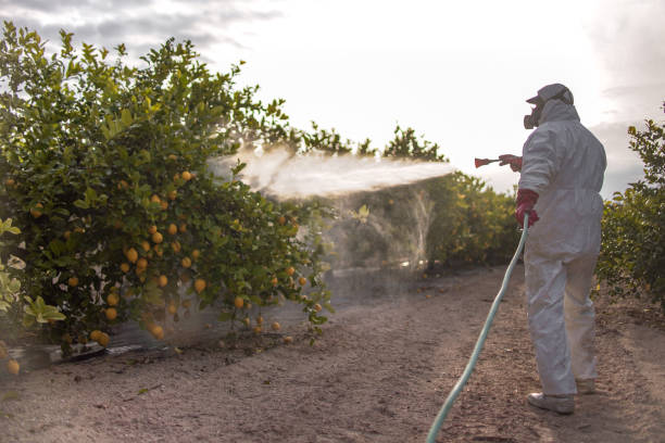 Best Residential Pest Control  in Pueblo, CO