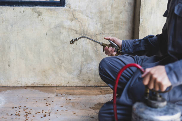 Best Ant Control Services  in Pueblo, CO